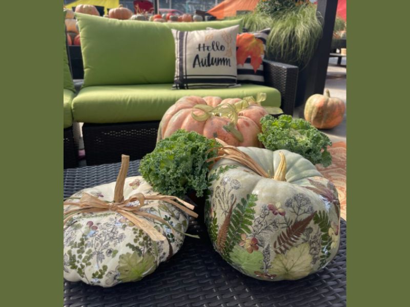 Koetsier's Decoupage Pumpkin workshop webpage