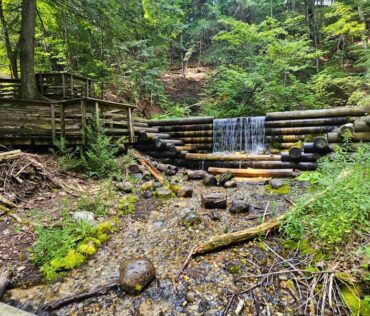 Iargo Springs, Huron National Forest