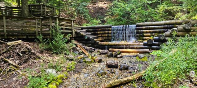 Iargo Springs, Huron National Forest