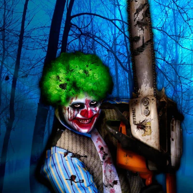 New Salem Corn Maze image webpage (1)
