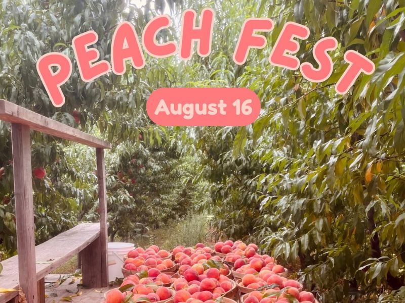 Robinettes Peach Fest Facebook