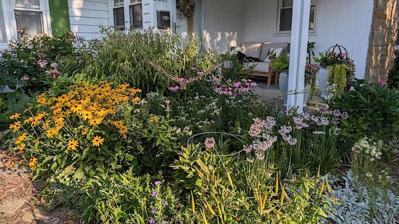 West MI Native Plant Yard Tour Eventbrite