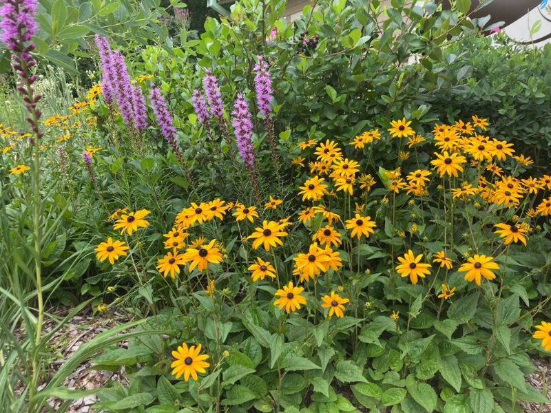 Blandford Nature Center Plant Exchange Facebook