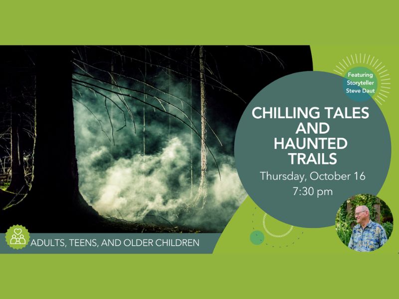 DeWitt Library Chilling Tales webpage