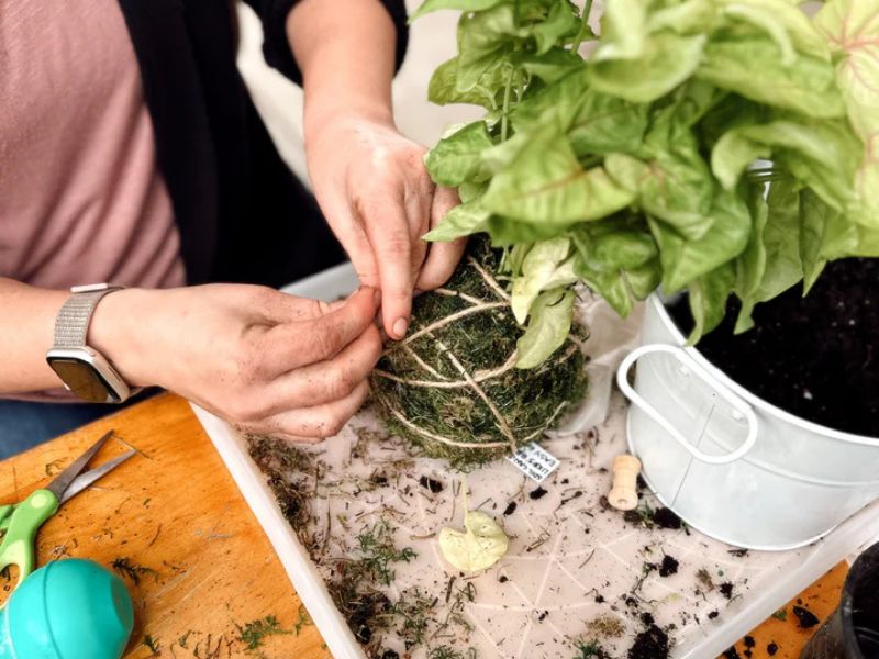 Gathered Botanicals Japanese Kokedama Workshop webpage