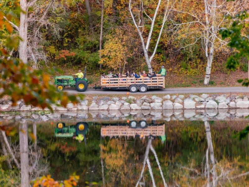 IPF Hidden Lake Gardens' Fall Festival webpage