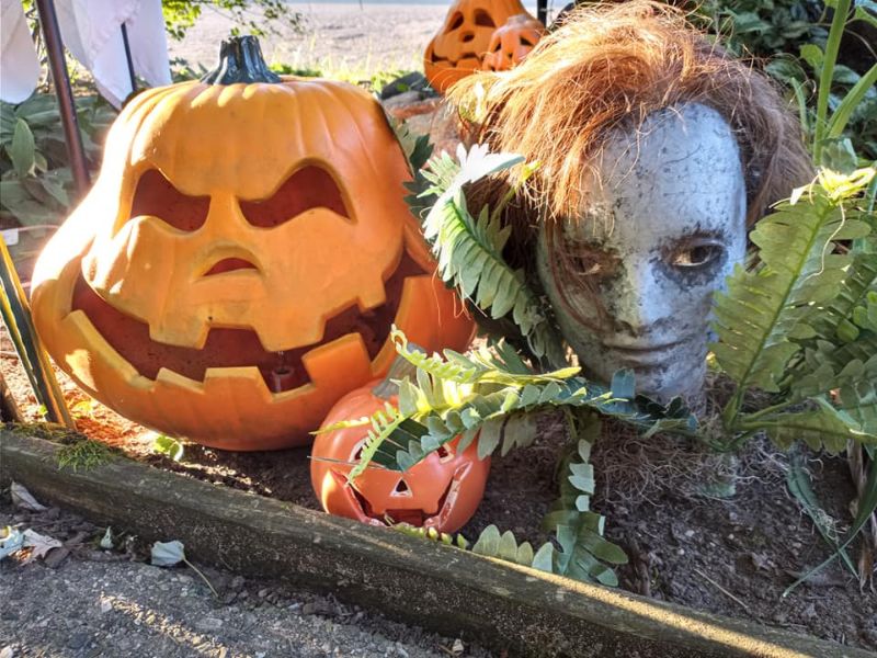 Immortal Grounds Haunted Attraction Facebook