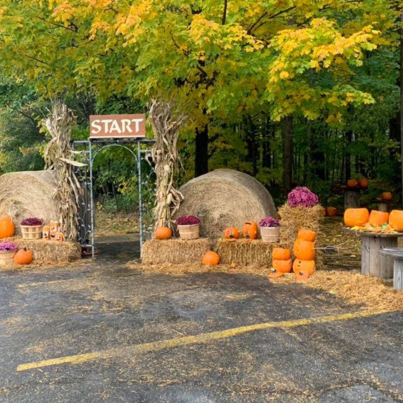 Pumpkin Walk Allendale 2025