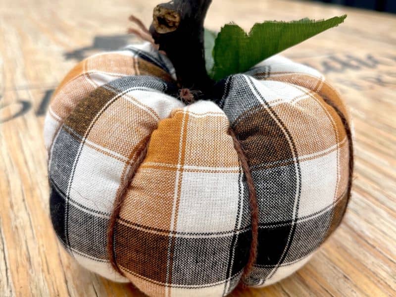 Submission Fall Fabric Pumpkin Koetsiers (1)