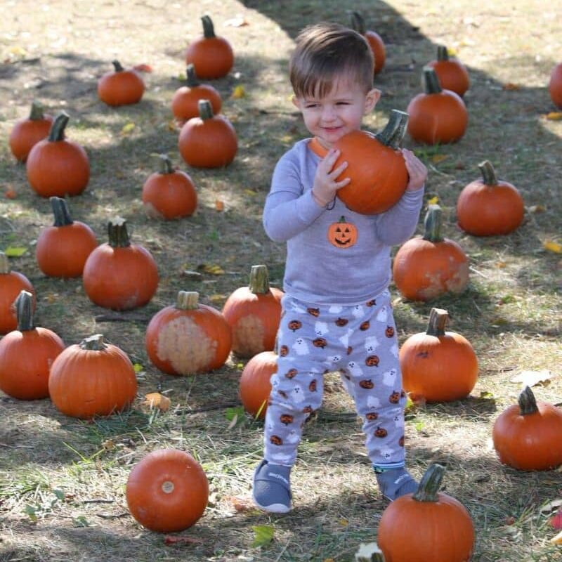 Submission Macomb Co HarvestFest4 (1)