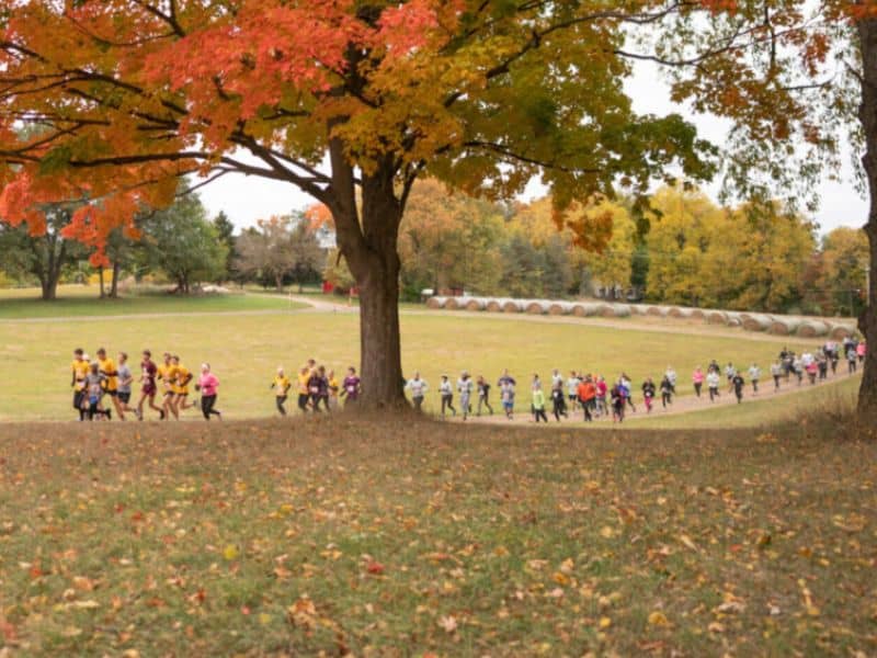 Van Andel Institute Bee Brave 5K webpage (1)