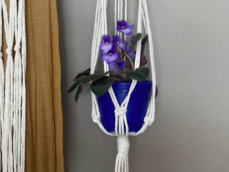 Wild Daisy Creative Macrame Plant Holder Facebook