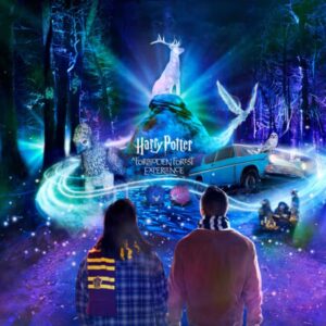 Harry Potter: The Forbidden Forest Experience in Chicago! Tickets