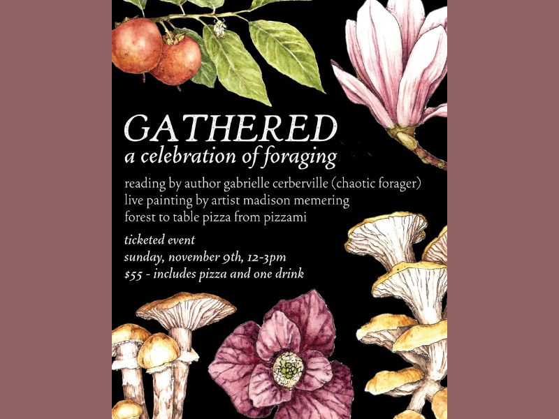 Speciation Cellars Gathered Facebook
