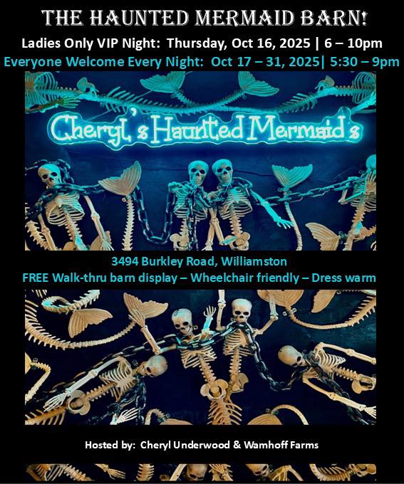 The Haunted Mermaid Barn Facebook Cheryl Underwood