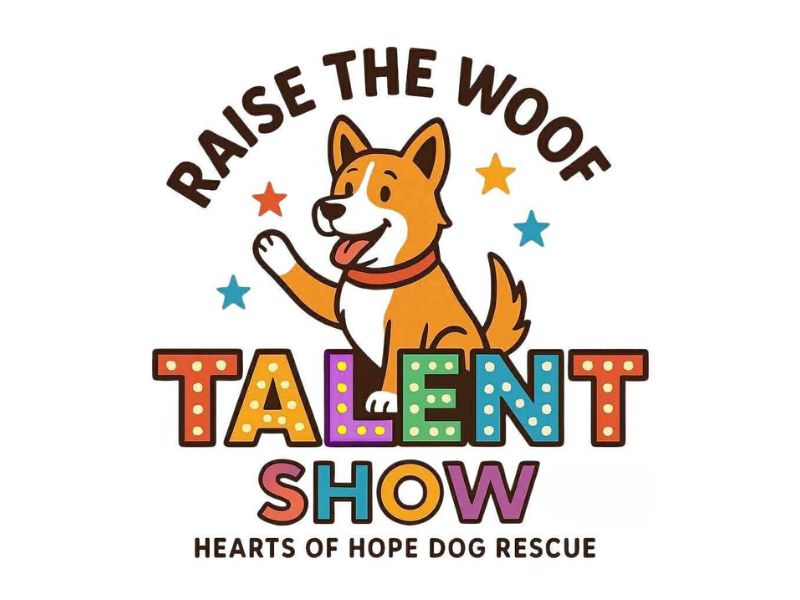 The Intersection Raise The Woof Talent Show webpage