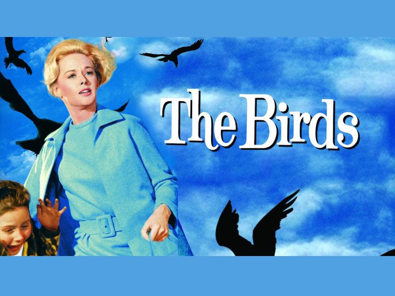 Wealthy Theatre presents The Birds webpage