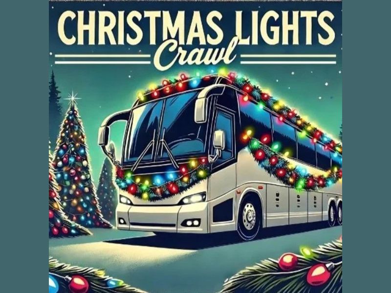 Detroit History Club's Christmas Lights Crawl Facebook