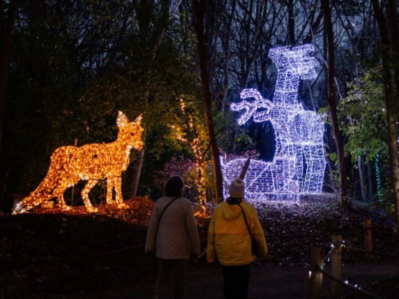 Detroit Zoo's Wild Lights webpage