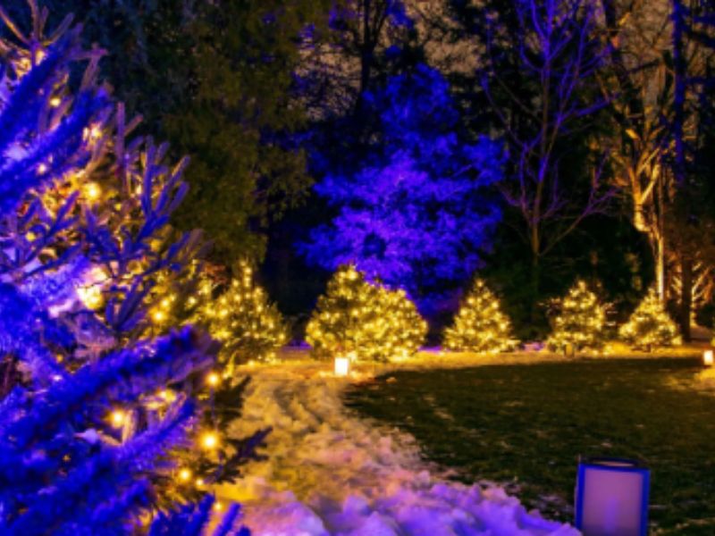 Dow Gardens Christmas Walk webpage