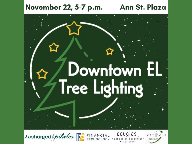 Downtown East Lansing Inaugural Tree Lighting Facebook