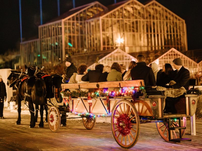 Frederik Meijer Gardens & Sculpture Park Sparkle Fundraiser webpage
