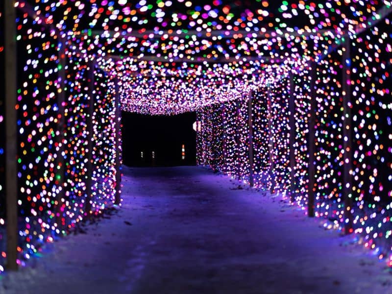 Grand Blanc Twnshp Holiday Walk Facebook (1)