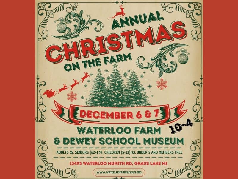 Submission Christmas on the Farm at Waterloo Farm (1)
