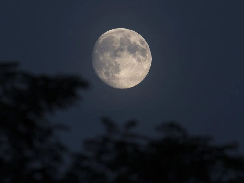 Blandford Nature Center Full Moon Hike webpage