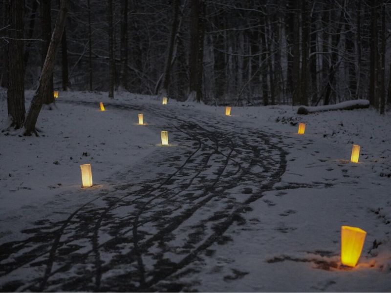 Submission Friends of GR Parks Luminaria Walk
