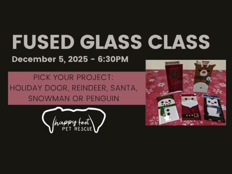 Submission Happy Feet Pet Rescue Fused Glass Class