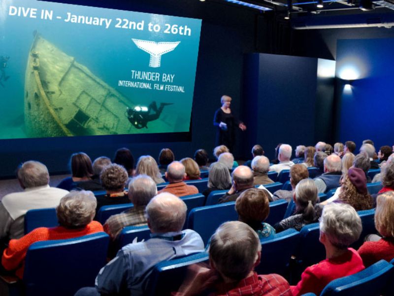 14th Annual Thunder Bay Int'l Film Festival website