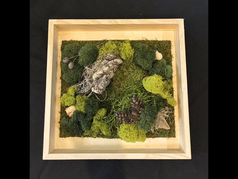 Frederik Meijer Gardens Hygge Moss Workshop webpage