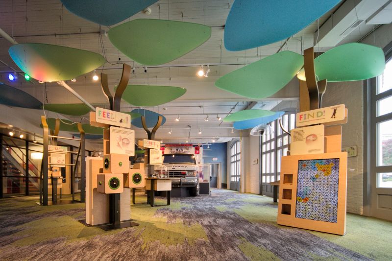 Ann Arbor Hands On Museum all about you exhibit website