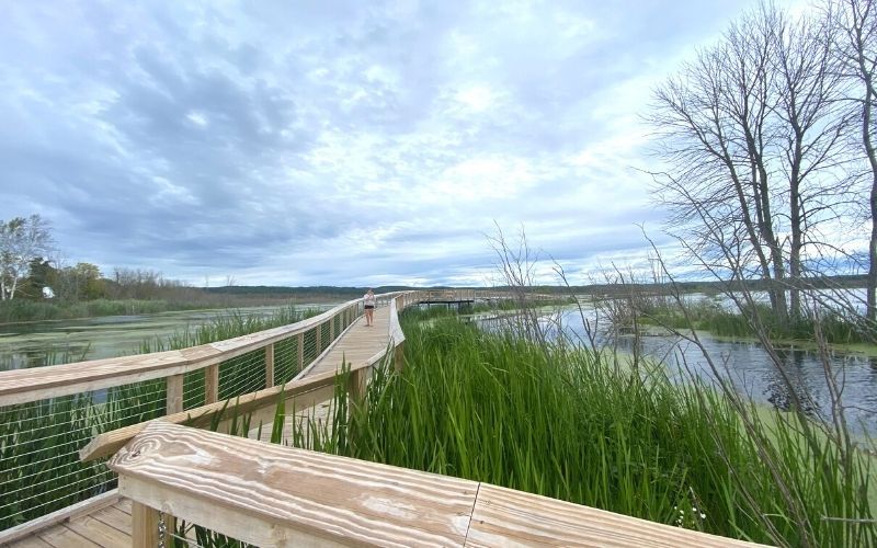 Arcadia-Marsh-Nature-Preserve-boardwalk-3 VanderWeide