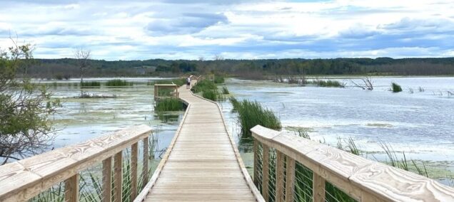 Arcadia-Marsh-Nature-Preserve-boardwalk-4