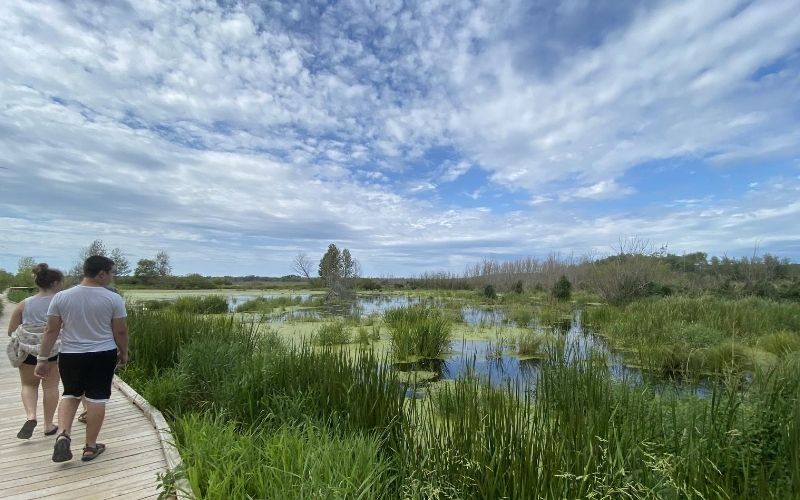 Arcadia-Marsh-Nature-Preserve-boardwalk