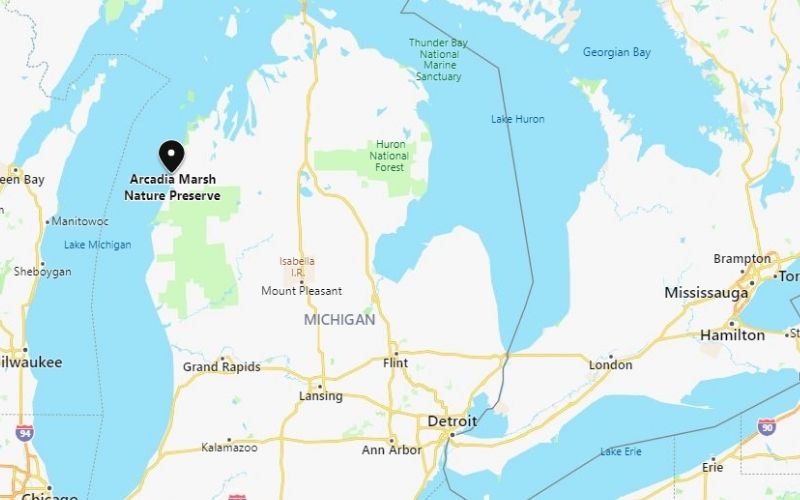 Arcadia-Marsh-Nature-Preserve-location