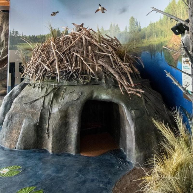 Beaver-Lodge-MI-DNR-Outdoor-Adventure-Center-Detroit-FB