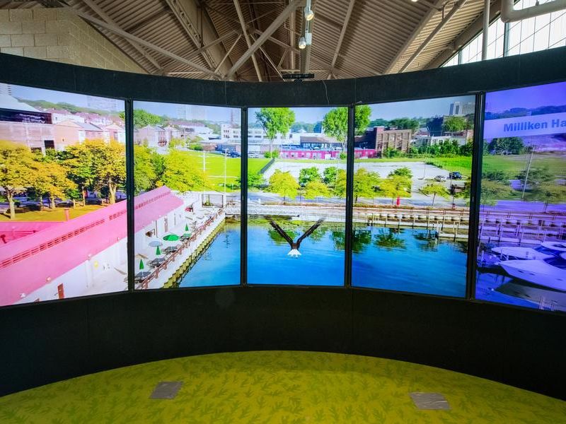 Eagle-Flight-Simulator-MI-DNR-Outdoor-Adventure-Center-Detroit-FB