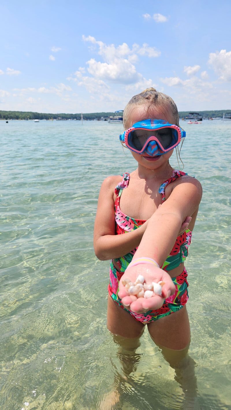 Higgins Lake Water - Vriezema