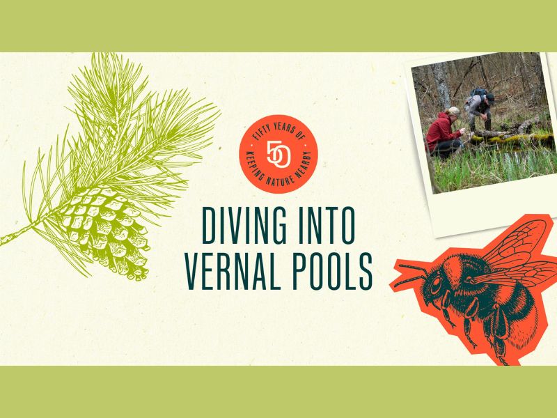 Land Conservancy of West MI Diving Into Vernal Pools webpage