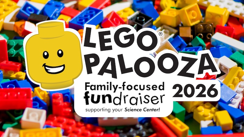 LegoPalooza Impression 5 2026