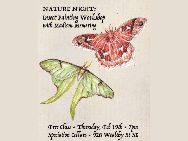 Speciation Cellars Free Insect Painting Class Facebook