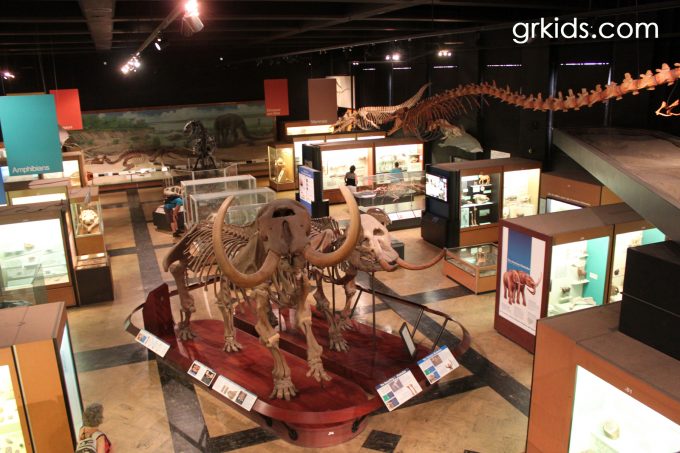 University of Michigan Museum of Natural History Hall-of-Evolution