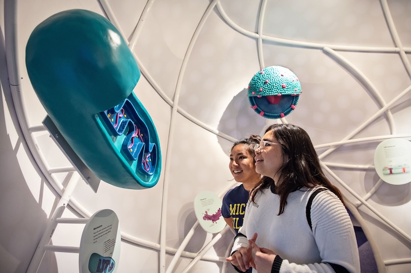 U of M Museum of Natural History Under the Microscope Facebook