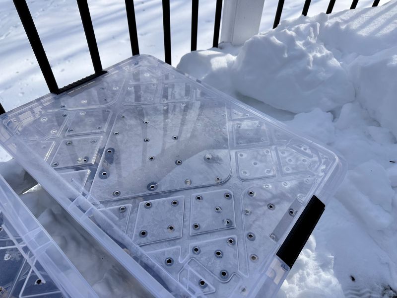 containers winter sowing michigan