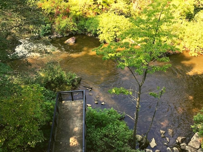 Bear-River-Valley-Recreation-Area-Petoskey-MI