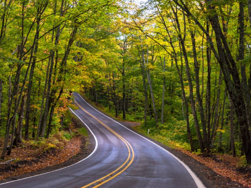 Highway-41-Tunnel-of-Trees-Keweenaw-Peninsula
