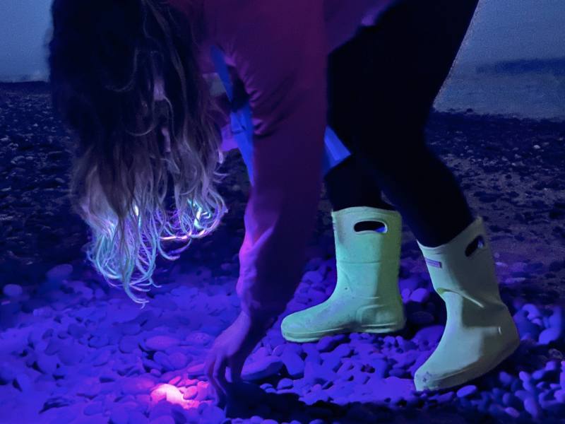 Searching for Yooperlites on Agate Beach